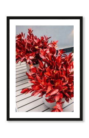 Plantas Vasos Decoração Decorativas Floricultura Paisagismo Móveis Escritório Interiores Consultório Móveis Planejados Arquitetura Design Interiores Funcional Atendimento Comercial Técnico