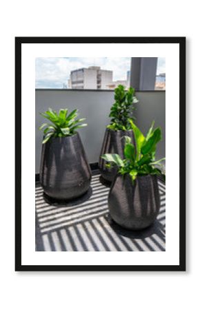 Plantas Vasos Decoração Decorativas Floricultura Paisagismo Móveis Escritório Interiores Consultório Móveis Planejados Arquitetura Design Interiores Funcional Atendimento Comercial Técnico