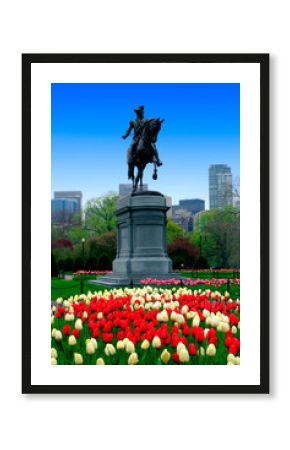 boston public garden