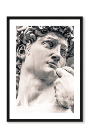 Michelangelo's David Portrait, Replica Statue in Florence Italy