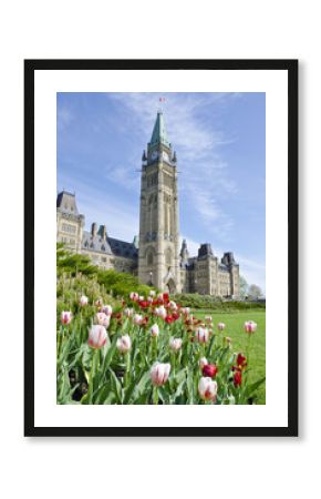 Parliament Building Ottawa with Tulips