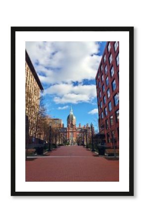 johns hopkins
