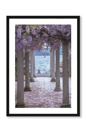Beautiful front yard with pillars and wisteria flowers