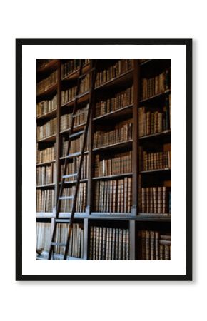 Castle interior, library with high bookshelves full of old books, staircase, Baroque classicism carved wooden furniture, beige brown tones, renaissance chateau Opocno, Czech Republic