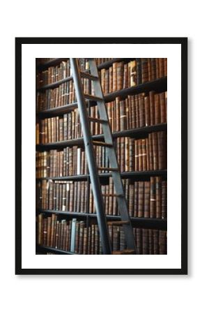 Steep ladder in front of a wall of shelves filled with leather-bound books in a dimly-lit library