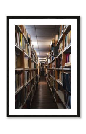 library shelves with books