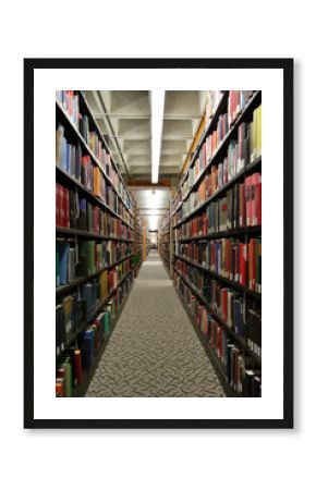 long shelves of books