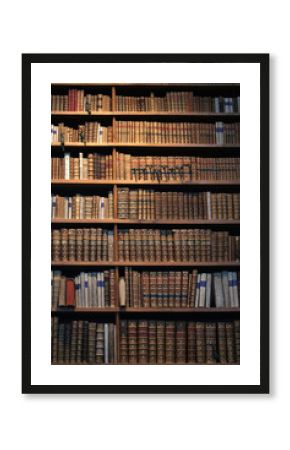 old books in the nationla library of Vienna.