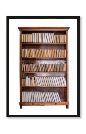 Books on wooden shelves in the library