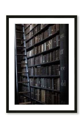 DUBLIN, IRELAND, DECEMBER 21, 2018: The Long Room in the Trinity College Library, home to The Book of Kells. A ladder to reach books at different levels.