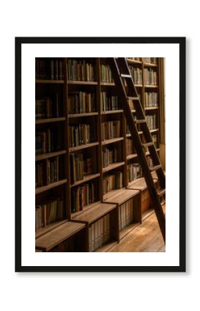 Shelves of old books with ladder next to window light