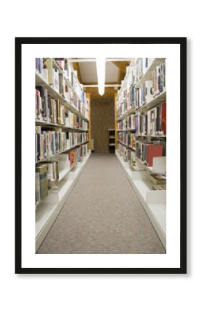 Library Aisles