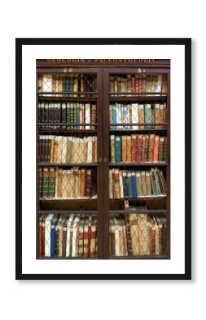 Books on a old wooden shelfs.