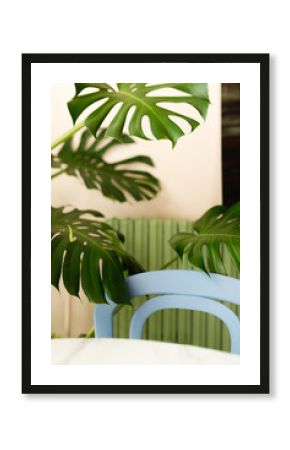 interior of cafe work place with live green plants, blue chair and white table