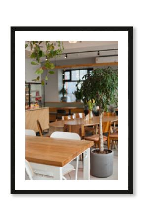 Green tropical tree plant  in interior of a cafe or restaurant or coworkring space or office with modern stylish hipster vibes. Interior decor details closeup