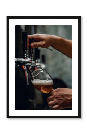 bartender hand at beer tap pouring a draught beer in glass serving in a restaurant or pub