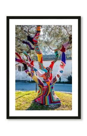Yarnbombing sur un Olivier en Provence