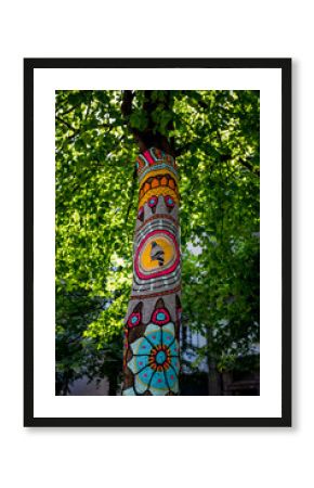 Yarn bombing sur des arbres à Clermond Ferrand