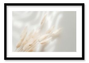 Brown bunny tail grass on grey background, copy space, dried lagurus grass