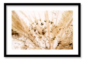 Bouquet of dried flowers. Floral minimal home interior boho style.