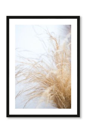 boho grass