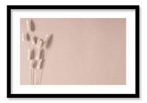 Floral background of dry flowers. Dry beige lagurus grass flower on beige background. Fluffy tan pom pom plants bouquet. Flat lay, top view, copy space
