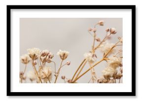 Dry flowers interior decoration art macro photography