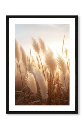 Abstract natural background of soft plants Cortaderia selloana. Pampas grass on a blurry bokeh, Dry reeds boho style. Fluffy stems of tall grass. ai generative