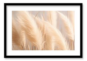 Abstract natural background of soft plants Cortaderia selloana. Pampas grass on a blurry bokeh, Dry reeds boho style. Fluffy stems of tall grass. ai generative