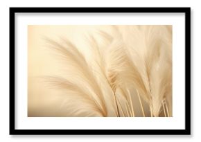 Abstract natural background of soft plants Cortaderia selloana. Pampas grass on a blurry bokeh, Dry reeds boho style. Fluffy stems of tall grass. ai generative