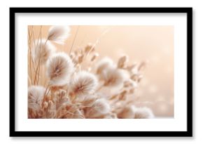 Minimalist Boho-style background neutral pastel color style and natural floral elements. Aesthetic minimalist design for social media content. Simple beige chic elements. Calming and serene atmosphere