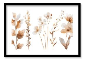 Sepia-Toned Botanical Illustration. A collection of sepia-toned botanical illustrations featuring various stylized flowers and leaves.
