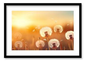 Copy space image of boho style atmospheric floral background featuring a close up view of white air dandelions illuminated by the rays of the setting sun creating a stunning display