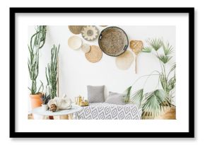 Modern minimal home interior design. Pillows, golden teapot, decorative straw plates, Scandinavian blanket, tropical palm tree, succulent and decorations.