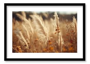 Dried Pampas Grass and Red Wildflowers in Autumn Field