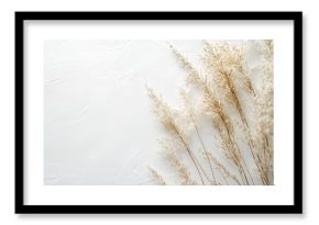 Serene White Background with Dry Pampas Grass for Rustic Minimalist Home Decor : Generative AI
