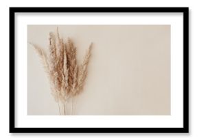 Dry pampas grass reeds agains on beige background. Beautiful pattern with neutral colors. Minimal, stylish, monochrome concept. Flat lay, top view, copy space. Set sail champagne trend color 2021