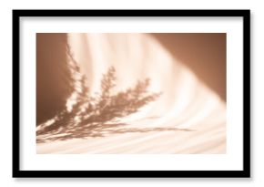 Pampas grass natural shadows on a beige wall or table. Floral silhouette on beige background