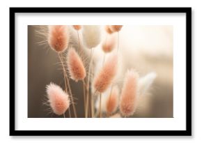 Dry fluffy bunny tails grass on neutral beige background. Tan pom pom plant herbs. Abstract Floral card. Poster. Selective blurred focus.