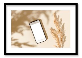 Blank screen smartphone with clipping path and pampas grass with shadows, top view, flat lat. Aesthetic background with smartphone
