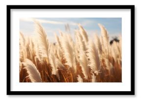 Abstract natural background of soft plants Cortaderia selloana. Pampas grass on a blurry bokeh, Dry reeds boho style. Fluffy stems of tall grass. ai generative