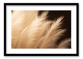 Abstract natural background of soft plants Cortaderia selloana. Pampas grass on a blurry bokeh, Dry reeds boho style. Fluffy stems of tall grass. ai generative