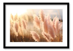 Pampas grass outdoor in light pink pastel colors. Dry reeds boho style. Trendy botanical background