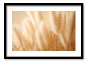 Abstract natural background of soft plants Cortaderia selloana. Pampas grass on a blurry bokeh, Dry reeds boho style. Fluffy stems of tall grass. ai generative
