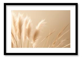 Abstract natural background of soft plants Cortaderia selloana. Pampas grass on a blurry bokeh, Dry reeds boho style. Fluffy stems of tall grass. ai generative