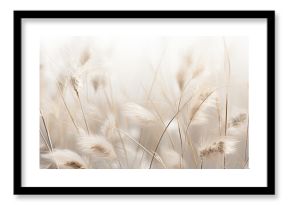 Abstract natural background of soft plants Cortaderia selloana. Pampas grass on a blurry bokeh, Dry reeds boho style. Fluffy stems of tall grass in winter, grass in the morning, beige banner backgroun