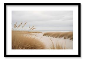 Pampas grass outdoor in light pastel colors. Dry reeds boho style  