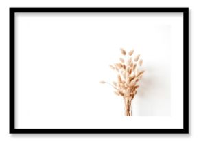 Fluffy tan pom pom plants bouquet in glass vase on white background.