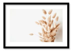 Fluffy tan pom pom plants bouquet on white background. Minimal floral holiday composition.