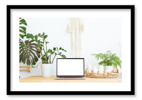 Modern trendy home office workplace with green plants and boho interior decor background. Still life composition